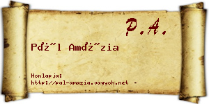 Pál Amázia névjegykártya